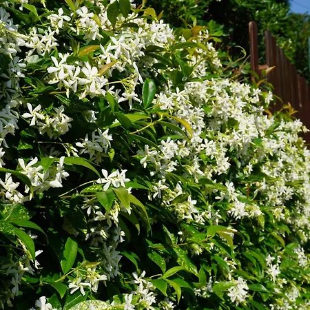 With A Parking Space - 12302 *