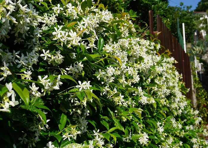 With A Parking Space - 12302 *